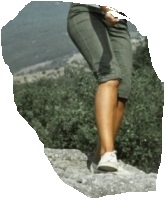 чье2.jpg