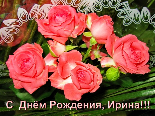 8454071.jpg