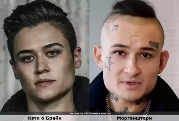 4234232.jpg