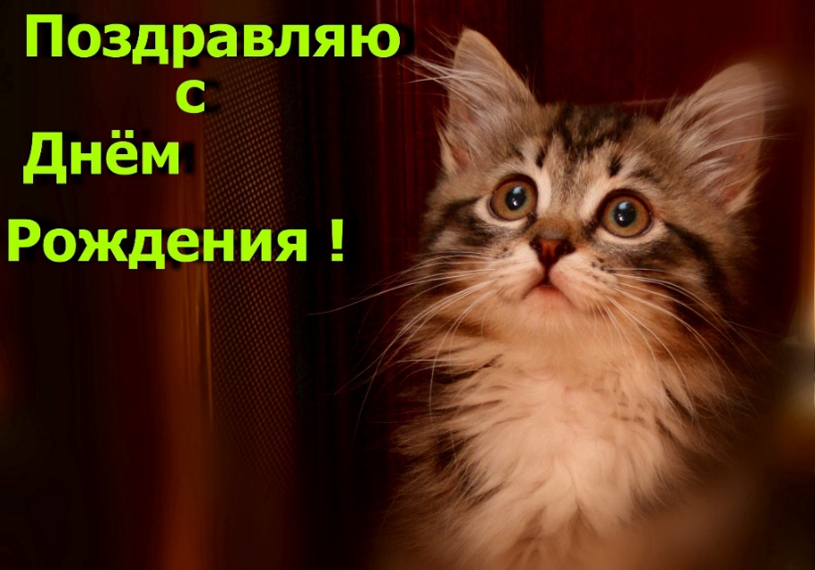 Копия IMG_5642.JPG
