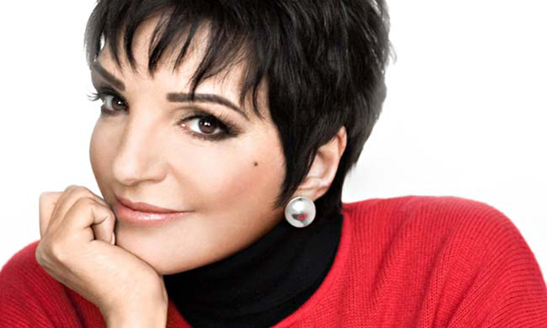 Liza_Minnelli_b.jpg