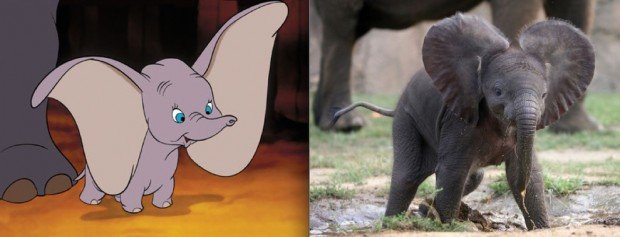 1350811295_disneyanimals-1-620x237.jpg