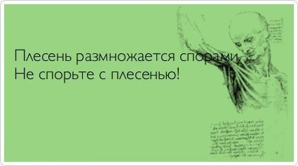 Плесень размножается спорами%2C не спорьте с плесенью%21.jpg