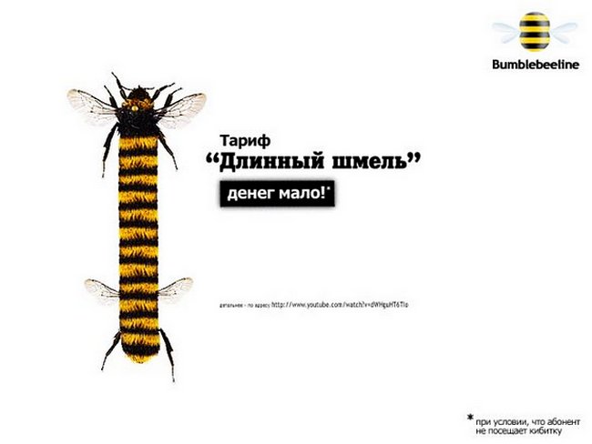 bumblebeeline1.jpg