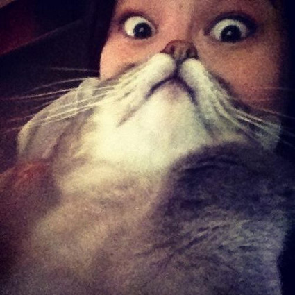 Cat face woman - optical illusion.jpg