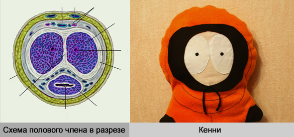 член и кенни.jpg